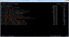 Angband screenshot 2