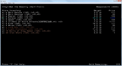 Angband screenshot 3