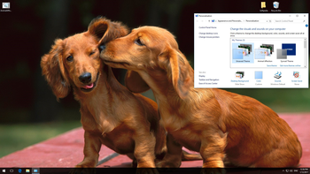 Animal Affection Theme screenshot