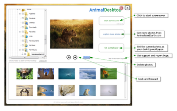 Animal Desktop Wallpaper Screensaver App screenshot
