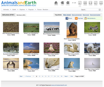 Animal Desktop Wallpaper Screensaver App screenshot 3