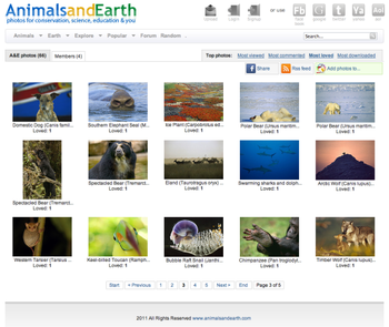 Animal Desktop Wallpaper Screensaver App screenshot 4