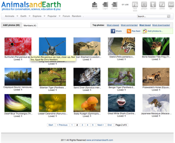 Animal Desktop Wallpaper Screensaver App screenshot 5
