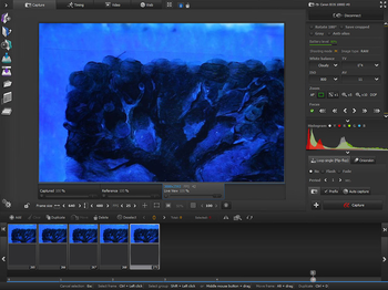 AnimaShooter Capture screenshot 3