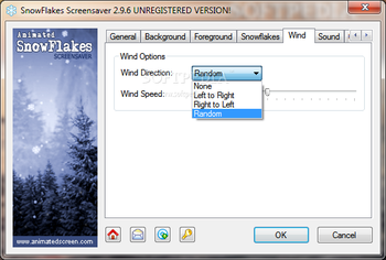Animated SnowFlakes Screensaver screenshot 6