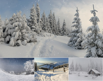 Animated Winterscapes screenshot 2
