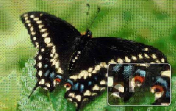 Animosaix screenshot