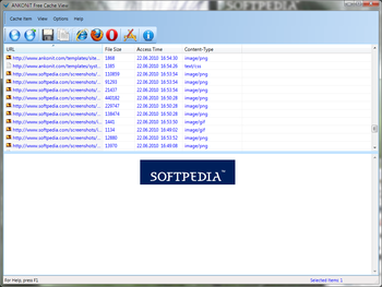 ANKONiT Free Cache View screenshot