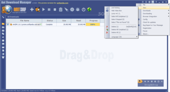 Ant Download Manager screenshot 3