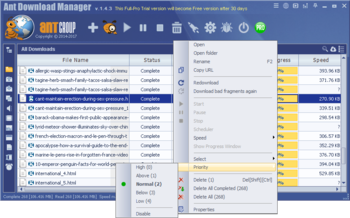Ant Download Manager screenshot 11
