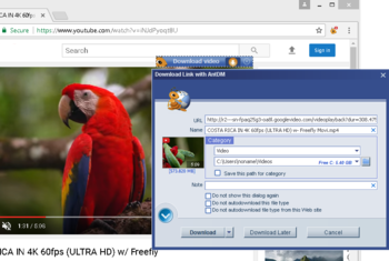 Ant Download Manager screenshot 4