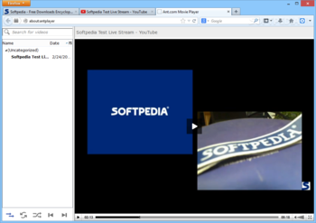 Ant Video Downloader screenshot 2