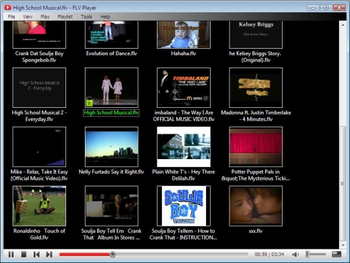 Any FLV to AVI MPEG DVD WMV RM MOV SWF MKV Converter screenshot