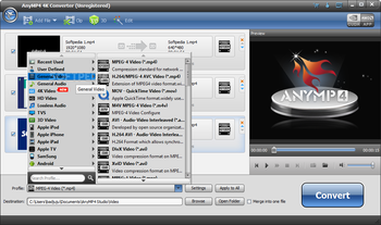 AnyMP4 4K Converter screenshot 2