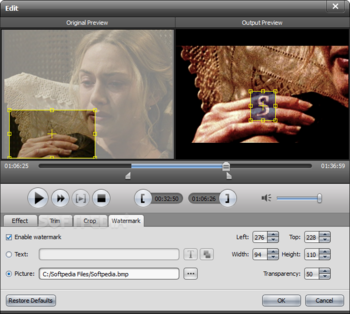 AnyMP4 DVD Ripper screenshot 9