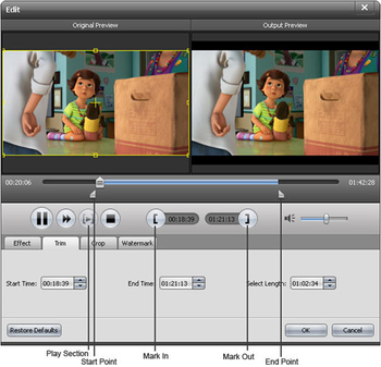 AnyMP4 iPhone 5 Video Converter screenshot