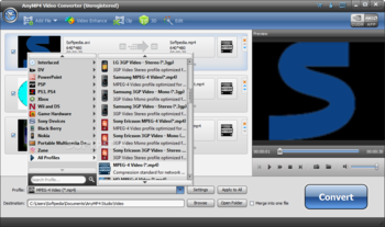 AnyMP4 Video Converter screenshot 2