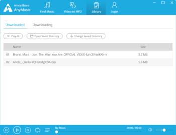 AnyMusic MP3 Downloader for Windows screenshot 9