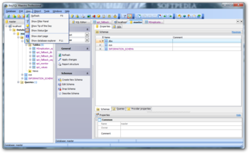 AnySQL Maestro Professional screenshot 5