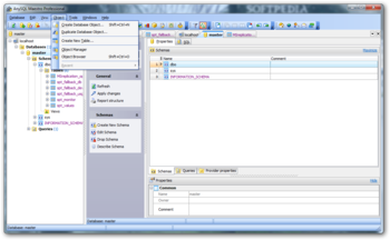 AnySQL Maestro Professional screenshot 6