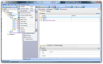 AnySQL Maestro Professional screenshot 7
