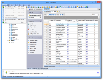 AnySQL Maestro screenshot 3