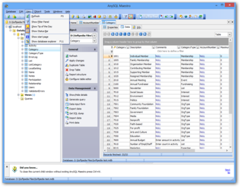 AnySQL Maestro screenshot 4