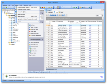 AnySQL Maestro screenshot 5