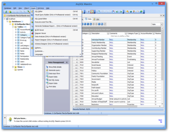 AnySQL Maestro screenshot 6