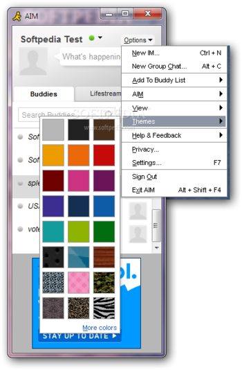 AOL Instant Messenger (AIM) screenshot 3