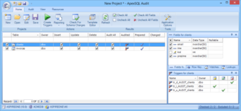 ApexSQL Audit screenshot