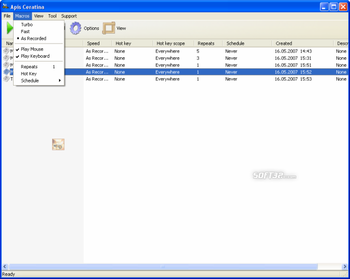 Apis Ceratina screenshot 3