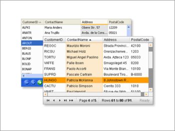 APNSoft DataGrid screenshot 2