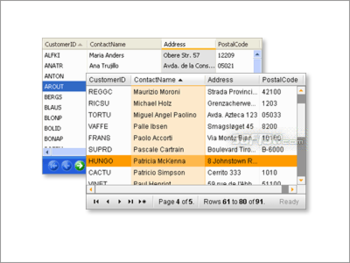 APNSoft DataGrid screenshot 3