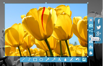 Apowersoft Free Screen Capture screenshot 2