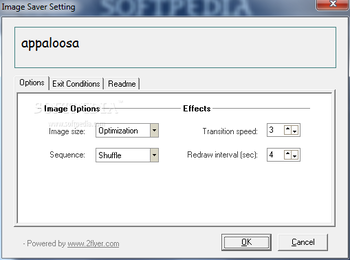 Appaloosa Horse Screensavers screenshot 2