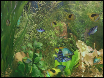 Aqua 3D Screensaver screenshot