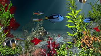 Aqua Coral Reefs 3D screenshot 2