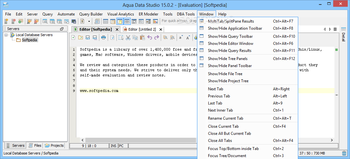 Aqua Data Studio screenshot 10