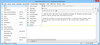 Aqua Data Studio screenshot 2