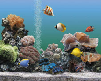 AQUARIUM 2.0 Deluxe (fÃƒÂ¼r PC) screenshot