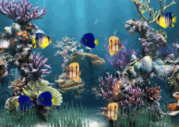 Aquarium Animated Wallpaper screenshot