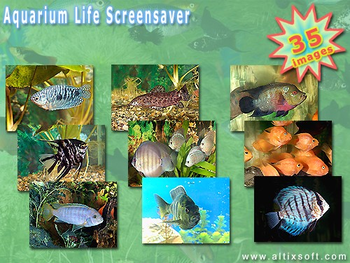 Aquarium Life Screensaver screenshot