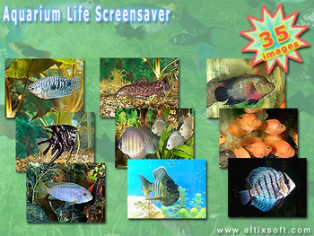 Aquarium Life Screensaver screenshot 3