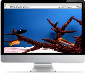 Aquarium Screensaver screenshot 2