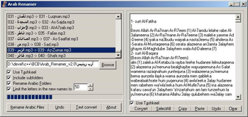 Arab Renamer screenshot 2