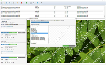 Arclab Watermark Studio screenshot 5