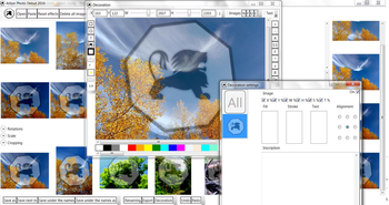 Arlion Photo Debut 2016 v1.2 screenshot 6