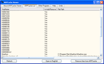 ARPCache Viewer screenshot