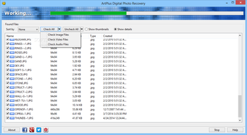 Art Plus Digital Photo Recovery screenshot 4